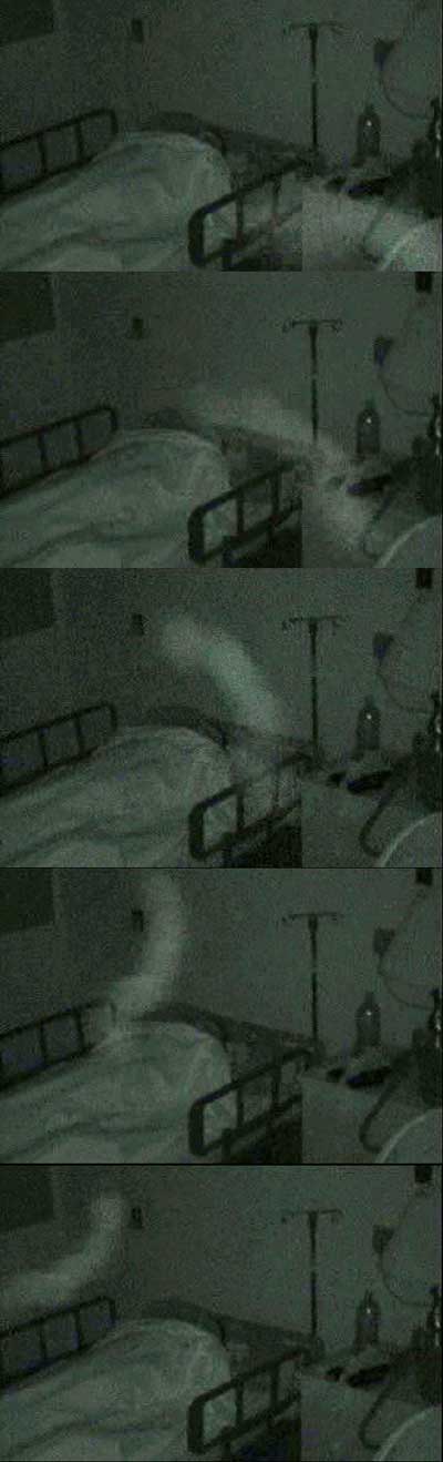 ghostbed